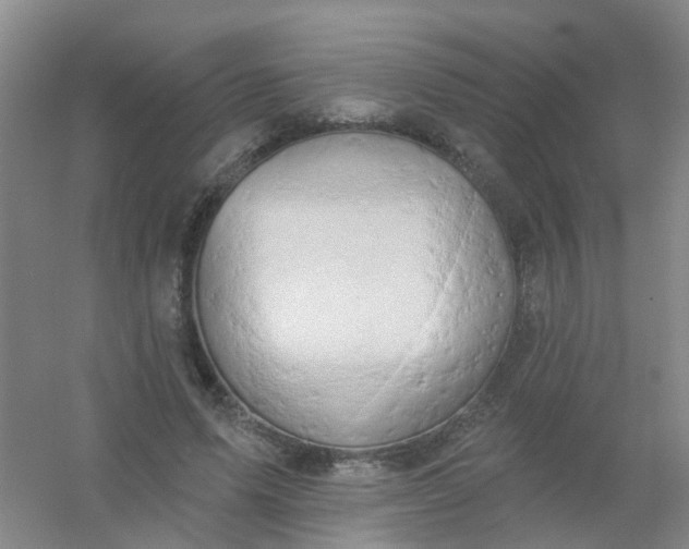 X0000054440591200508121847