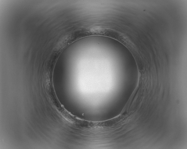 X0000054440593200508121847