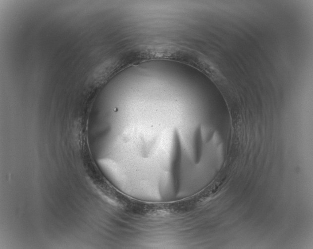 X0000054440594200508121847