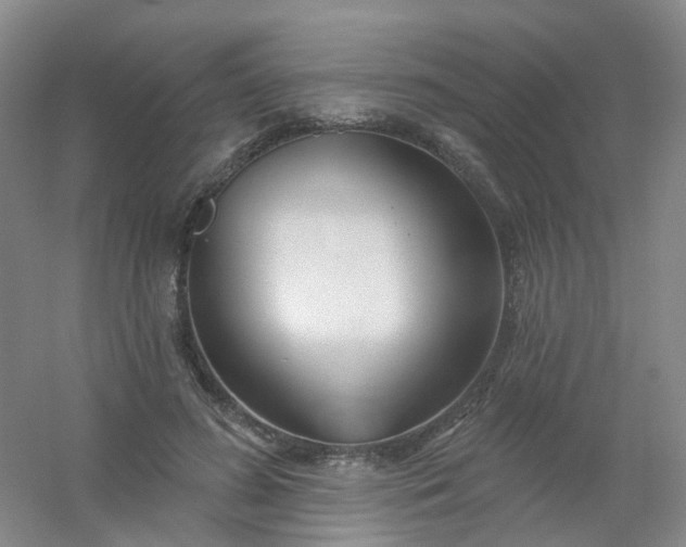 X0000054440596200508121847