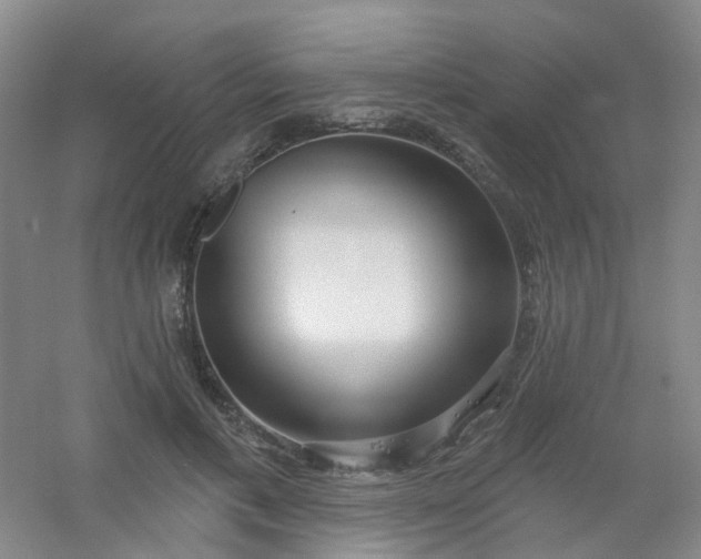 X0000054440597200508121847