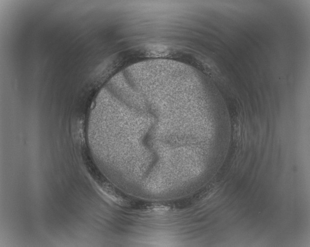 X0000054440598200508121846