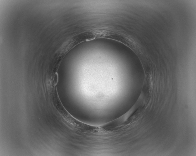 X0000054440601200508121846