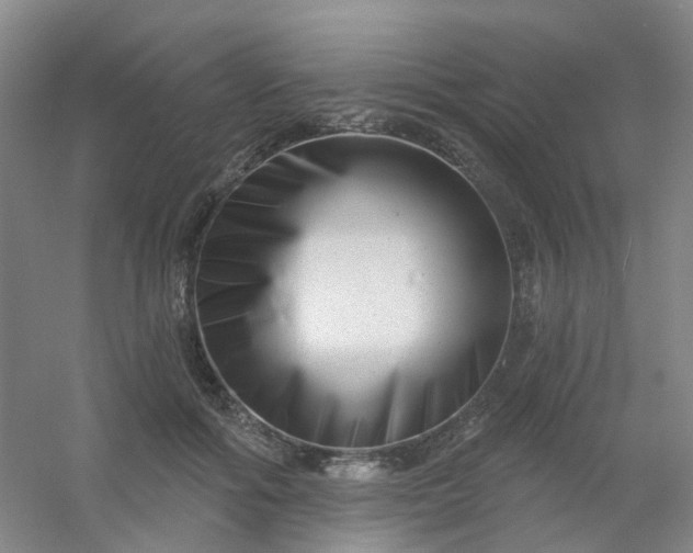 X0000054440602200508121846