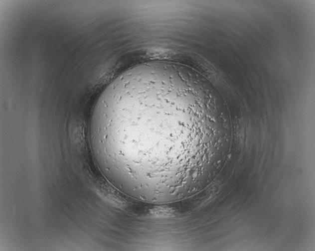 X0000054440603200508121846