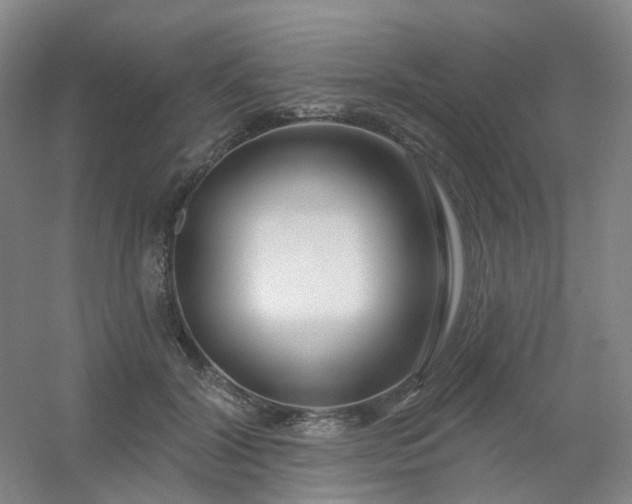 X0000054440604200508121846