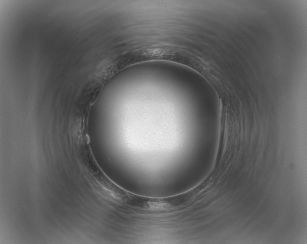 X0000054440605200508121846