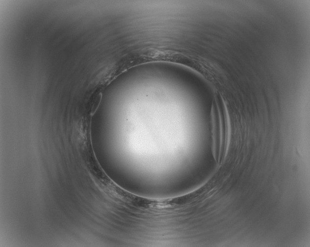 X0000054440607200508121846