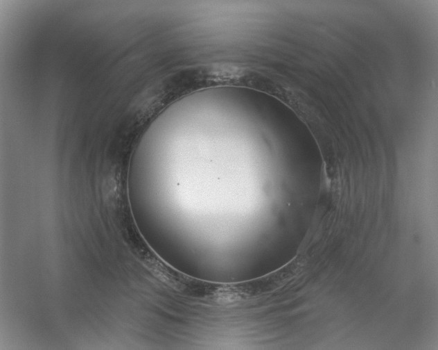 X0000054440608200508121846