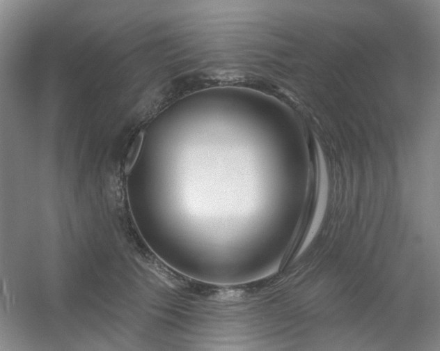 X0000054440609200508121846