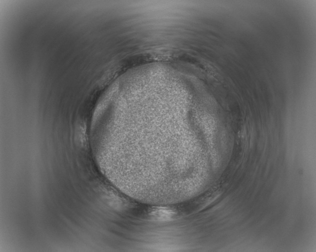 X0000054440610200508121846