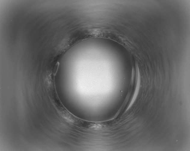 X0000054440611200508121846