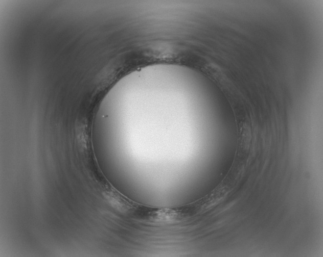 X0000054440612200508121846