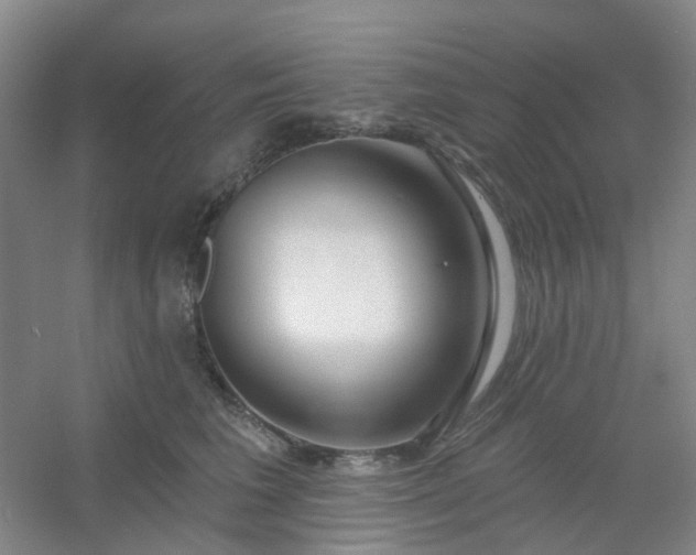 X0000054440613200508121846