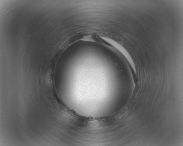 X0000054440616200508121846