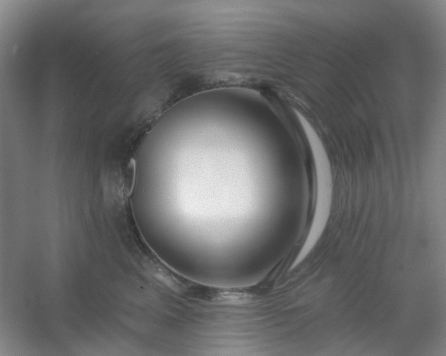 X0000054440617200508121846