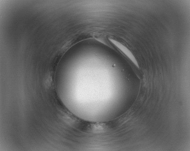 X0000054440618200508121846