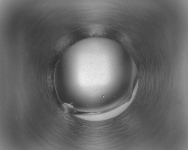 X0000054440619200508121846