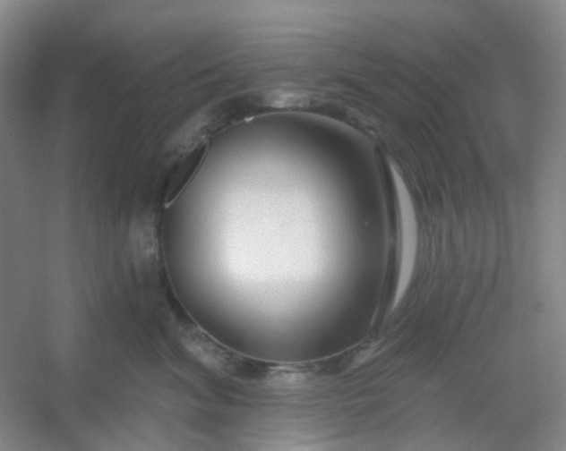 X0000054440620200508121846