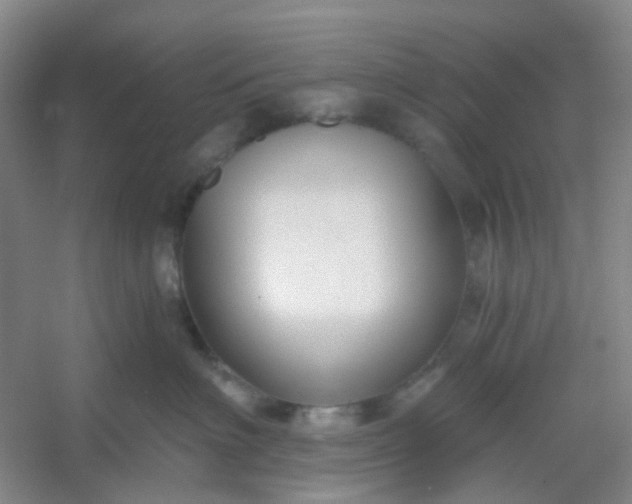 X0000054440622200508121846