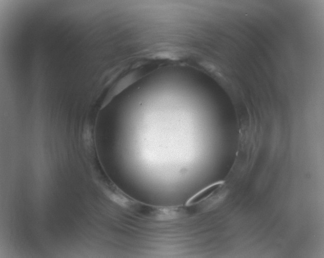 X0000054440623200508121846