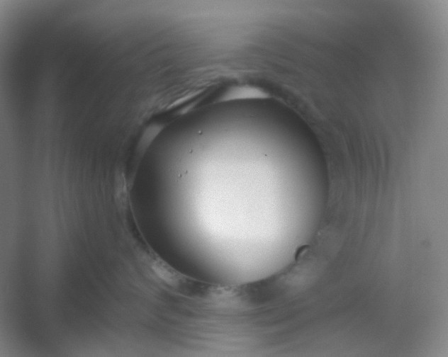 X0000054440624200508121846