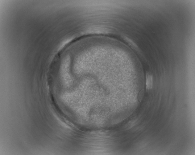 X0000054440627200508121845