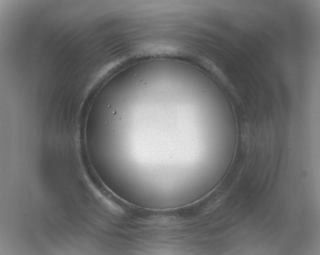 X0000054440629200508121845