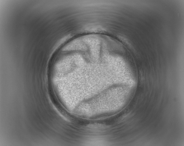 X0000054440630200508121845