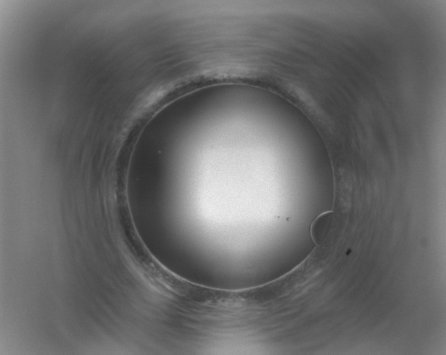 X0000054440631200508121845