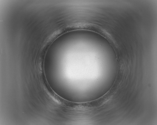 X0000054440633200508121845