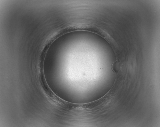 X0000054440635200508121845