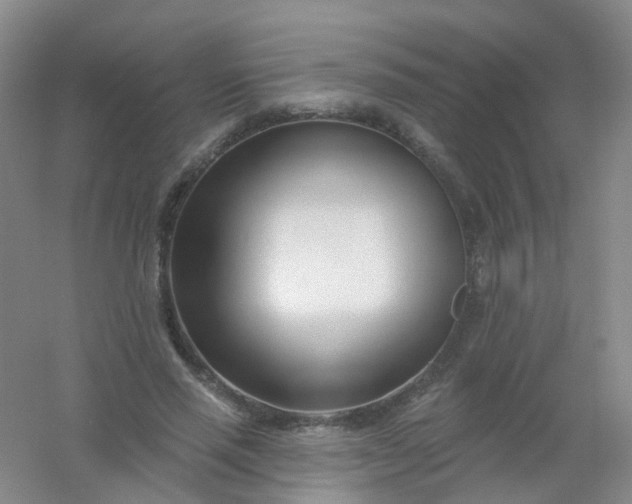 X0000054440637200508121845