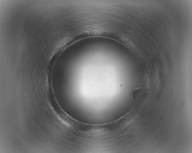 X0000054440638200508121845