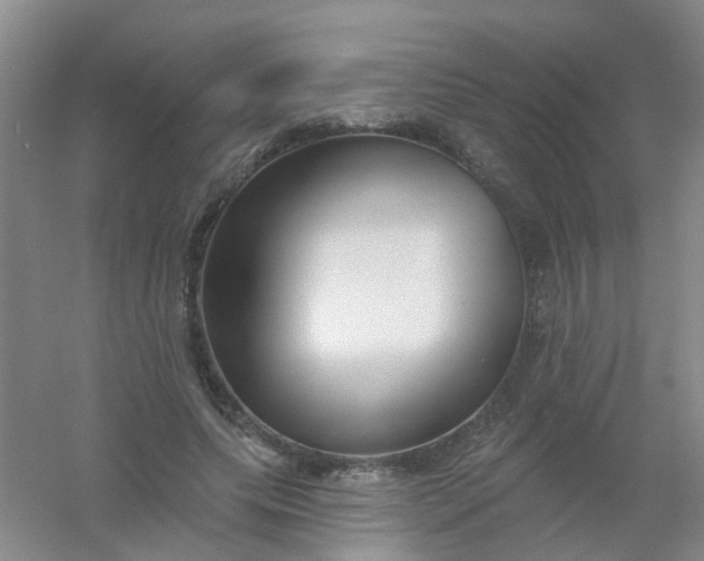 X0000054440639200508121845