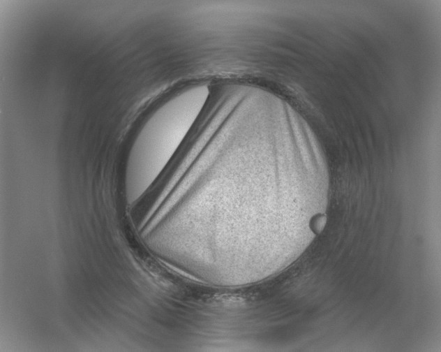 X0000054440640200508121845