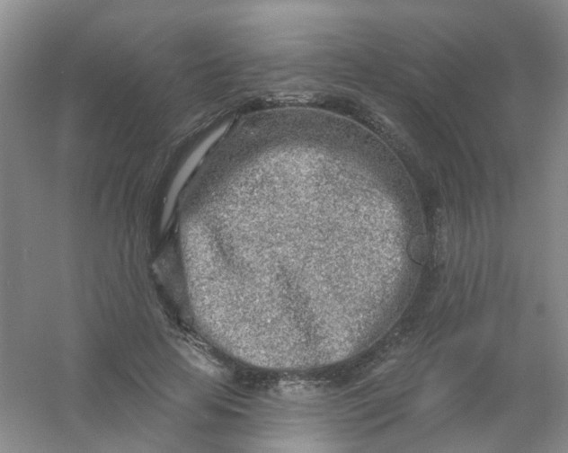 X0000054440641200508121846