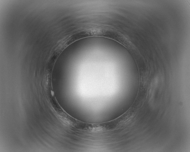 X0000054440645200508121846