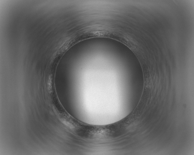 X0000054440646200508121846