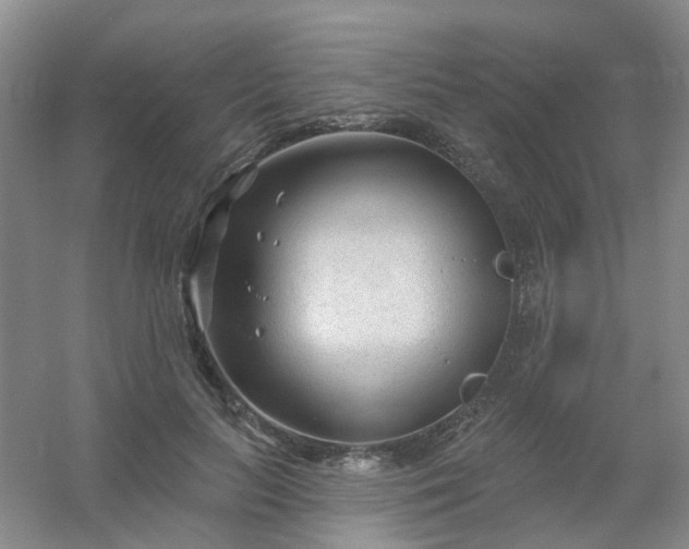 X0000054440647200508121846