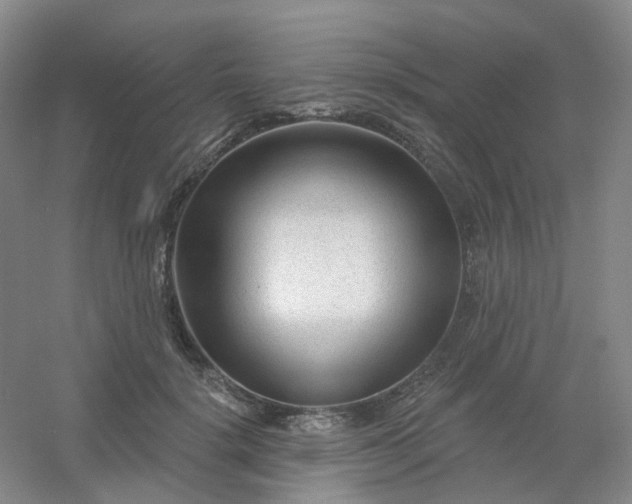 X0000054440652200508121846