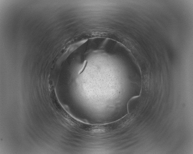 X0000054440653200508121846