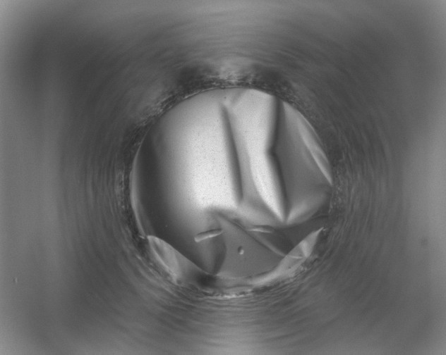 X0000054440656200508121846