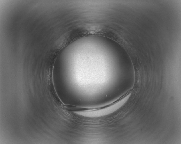 X0000054440657200508121846