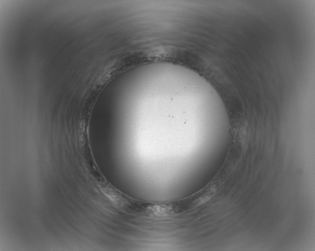 X0000054440660200508121846