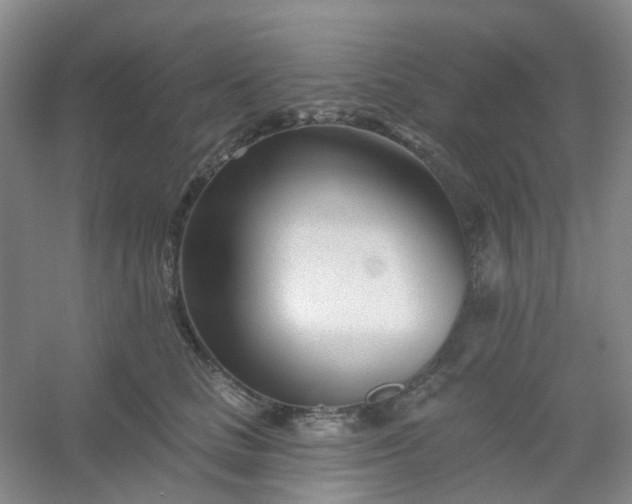 X0000054440661200508121846