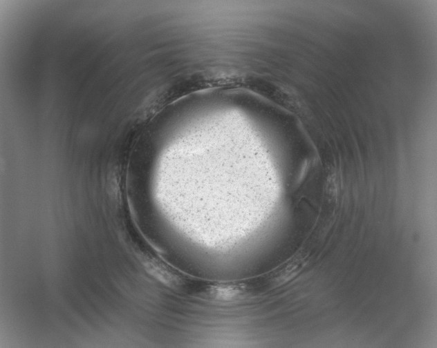 X0000054440662200508121846