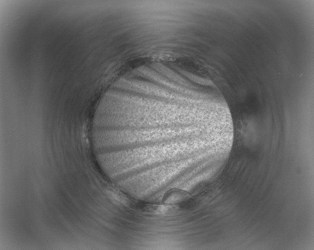 X0000054440663200508121846