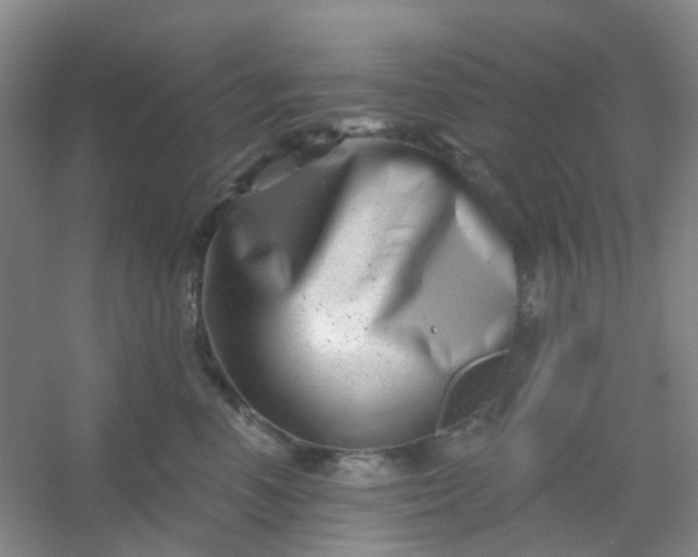 X0000054440666200508121846