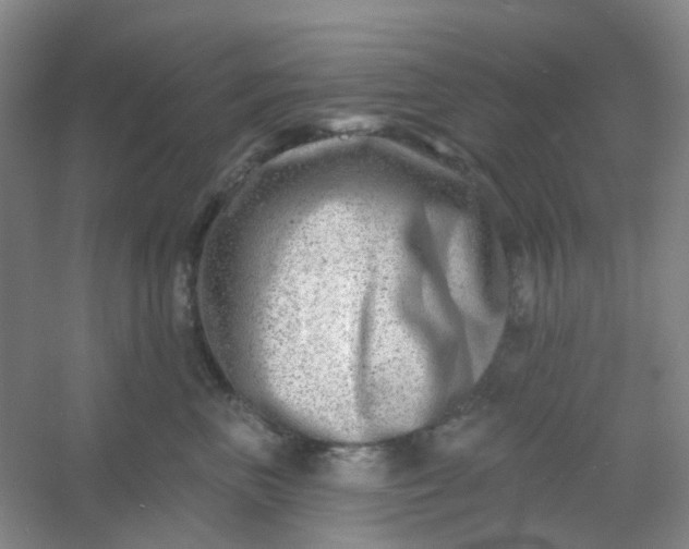 X0000054440667200508121846